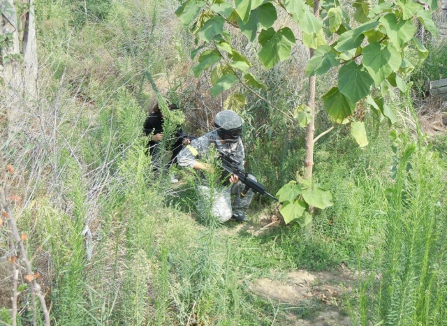 en el bosque 