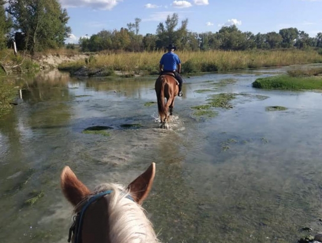  cabalgando por el pantano