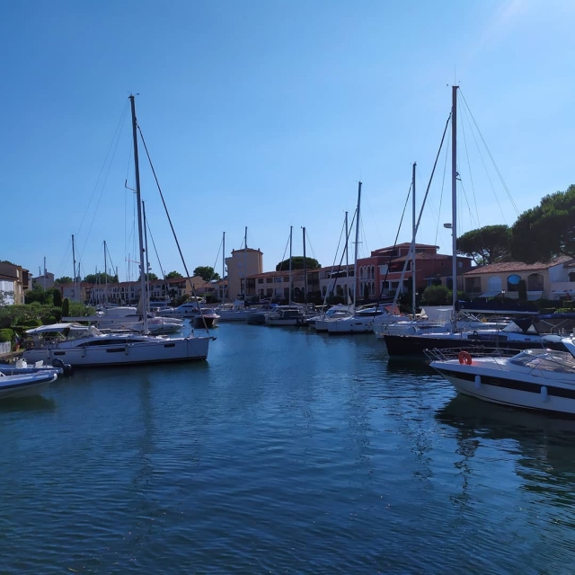  Veleros amarrados en el puerto 