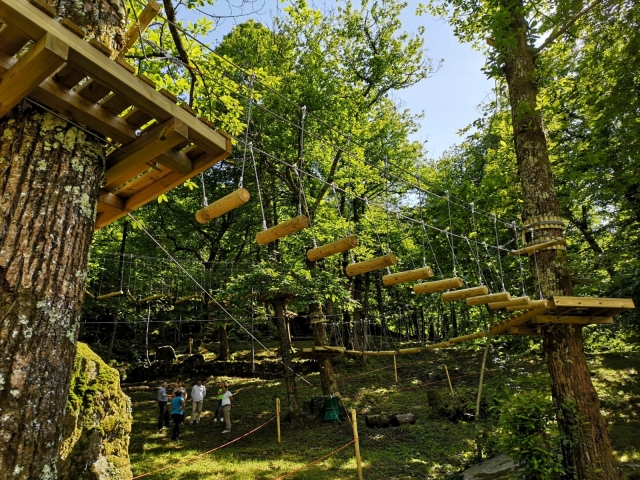 El parque de aventuras. 