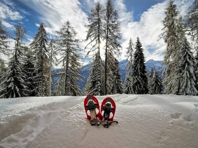 Raquetas de nieve. 