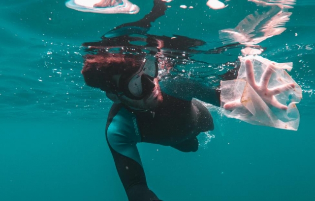  encuentro de snorkel