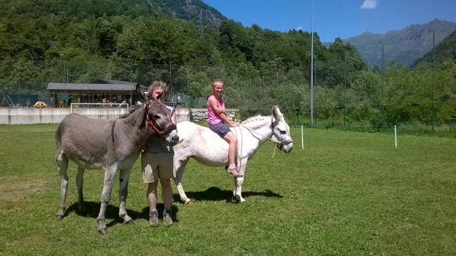  Actividades con burros. 