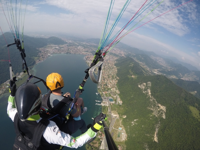  parapenle 