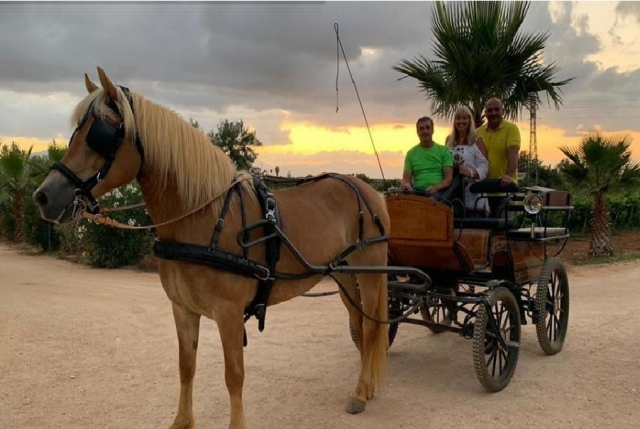 Paseo en carruaje con brunch en Partinico 2 horas y 30 minutos