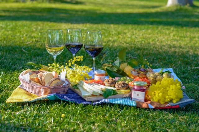  Picnic en el pasto 