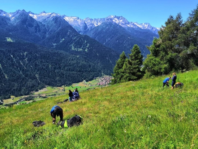 Preparación en el pasto