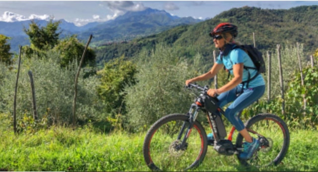 En bicicleta de cerro antes de la degustación