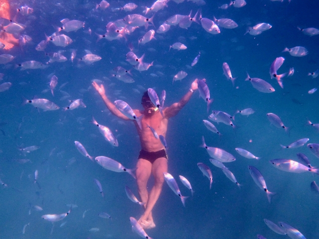  nadar con peces6 