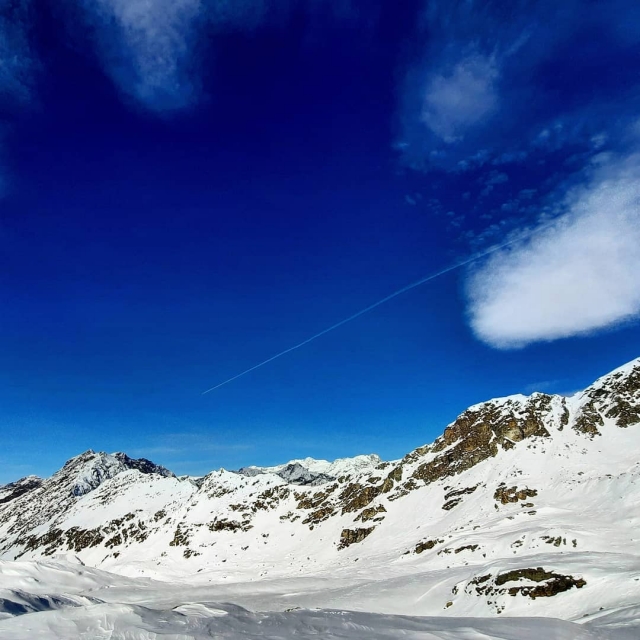 Panorama alpino 