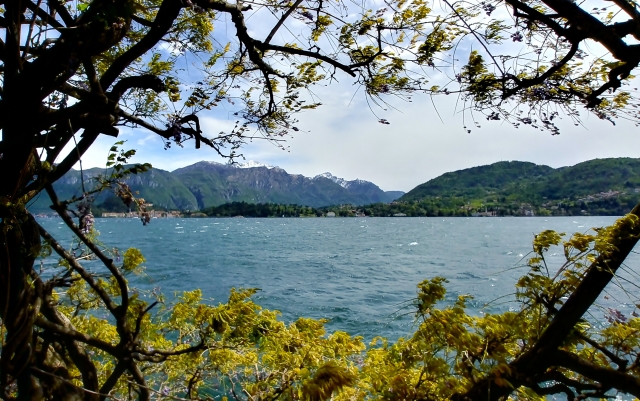 Panorama del lago