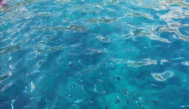  Agua cristalina