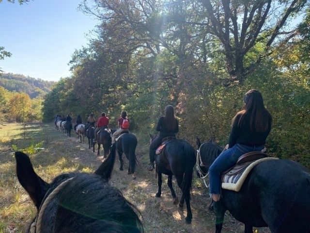  excursión en silla de subir 