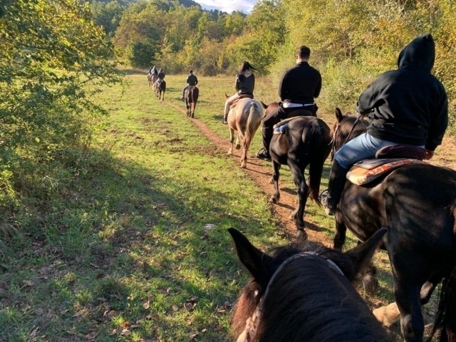  en la naturaleza a caballo 