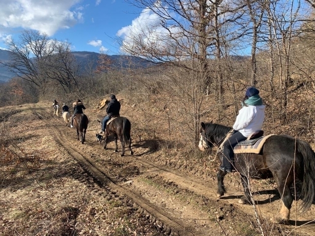  en silla de subir Rieti