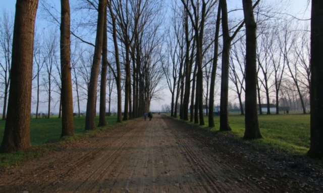  parle de la pista 