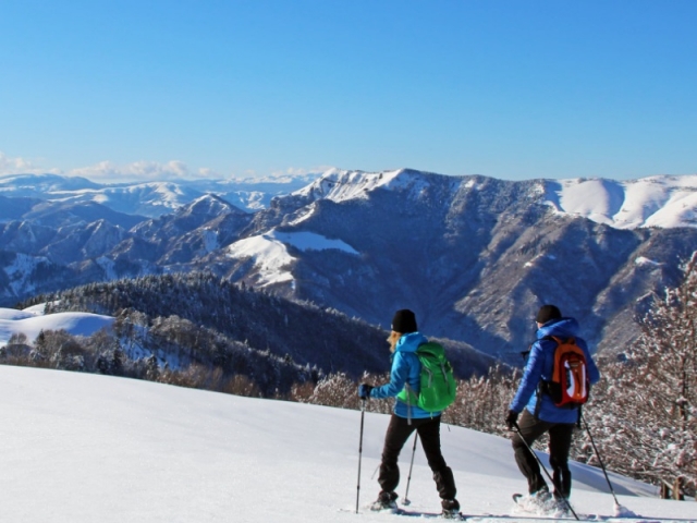 Ruta fácil con raquetas de nieve en Brent de l'Art de 3 horas de duración