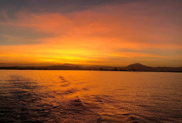  atardecer con delfines - copia 