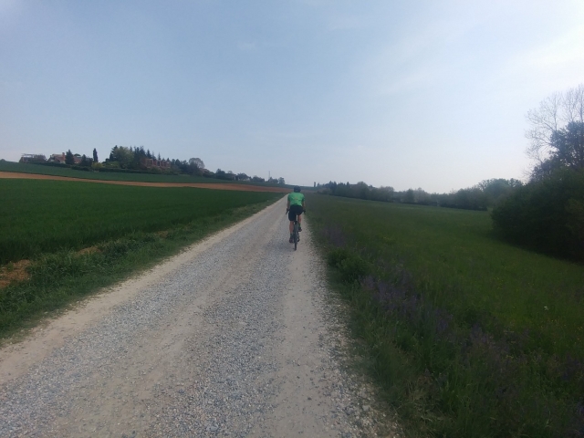  Campo