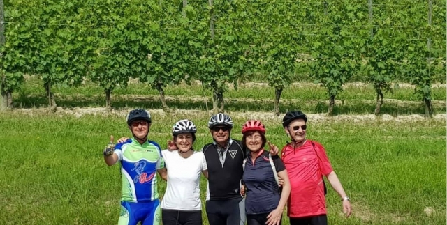  Ruta en bicicleta por los viñedos 
