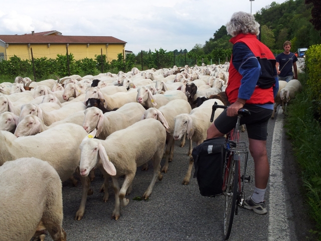  Encuentros duranle la ruta 