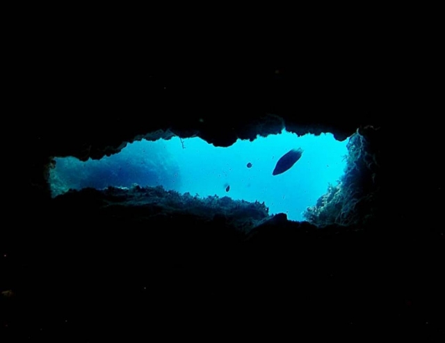  snorkel en el fondo marino de Campania 