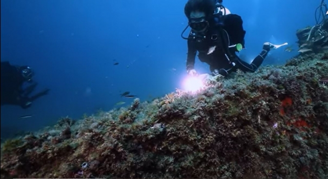  Descubrimiento del fondo marino
