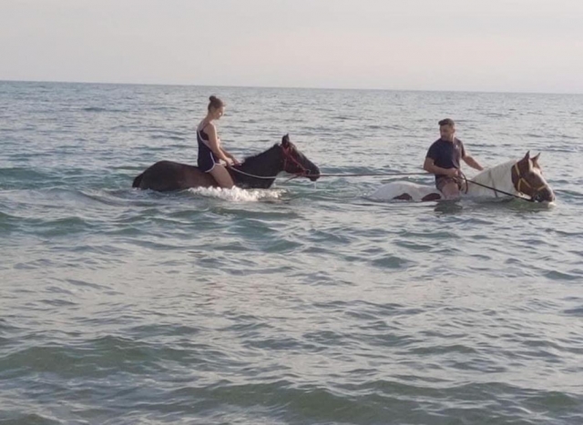nadar con los caballos 