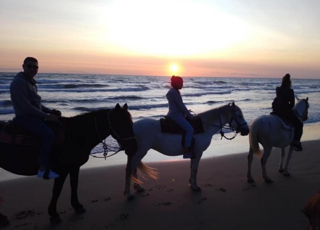  a caballo al amanecer 