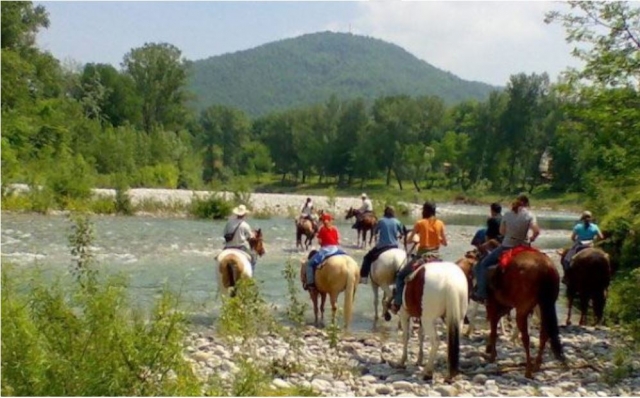  Todo a caballo 