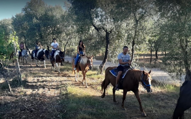  en el campo de Viesle 