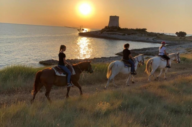  el atardecer sobre el mar le dejará