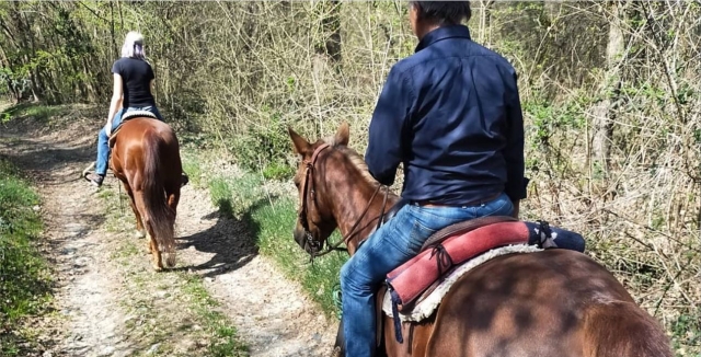 Paseo a caballo experto hasta Bric della Vigna 1h