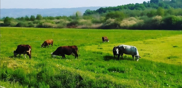  Vistas duranle el paseo a caballo