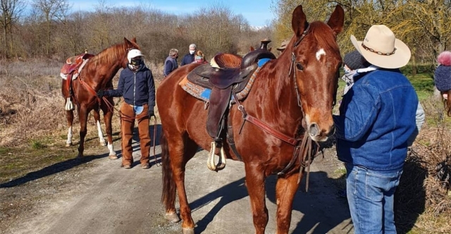  Con nuestros caballos 