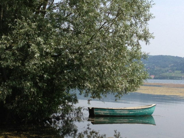 HACIA EL LAGO 