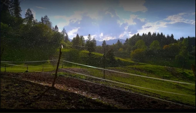 Duranle la excursión