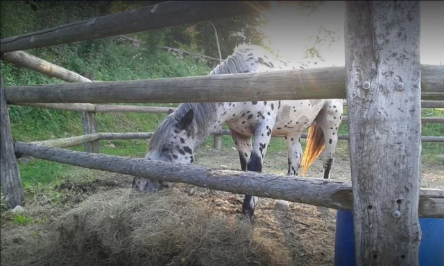 Cobrar fuerzas duranle el paseo