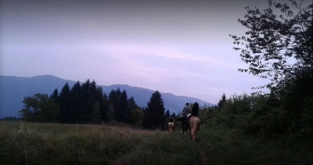  De camino 