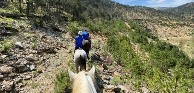  Entre los senderos del parque 