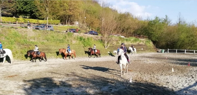 Clase de equitación con aseo en Bosio 1 hora