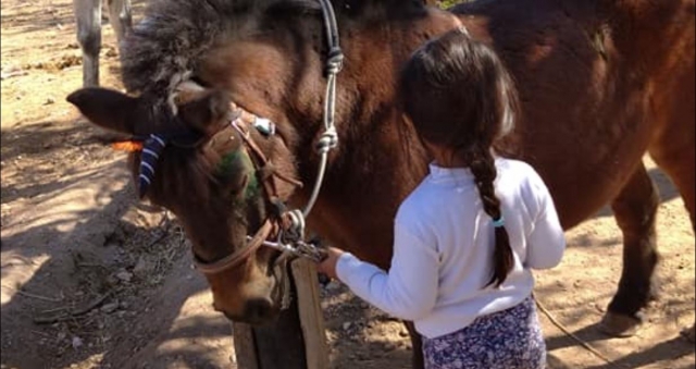 Actividades para chavos jinetes 