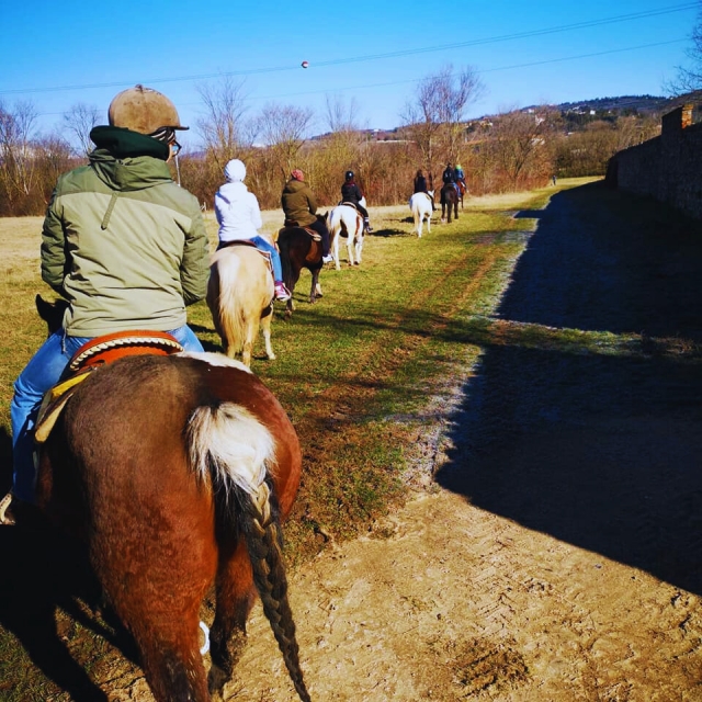  Listo para el paseo a caballo 