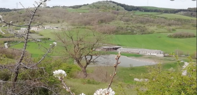  Paisaje natural 