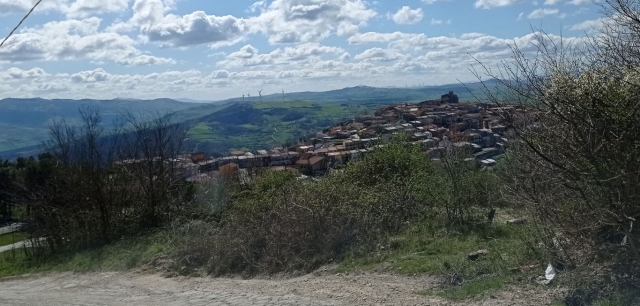 Inmerso en la naturaleza