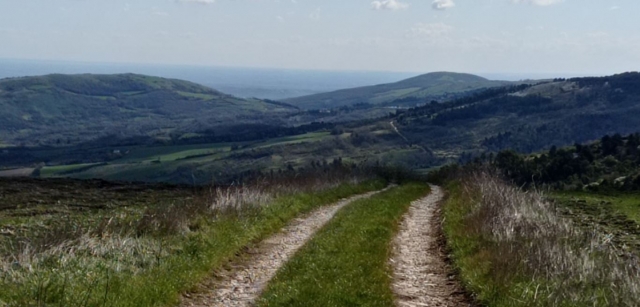  Por el sendero 