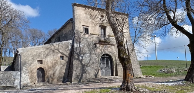  Cortijo en el bosque