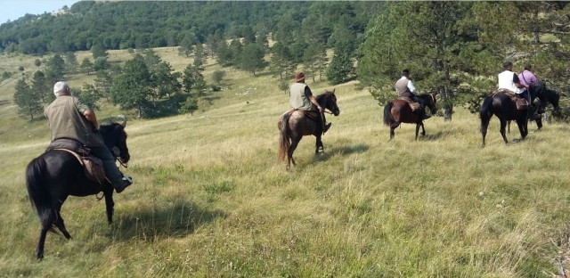  Subir a caballo Triesle 