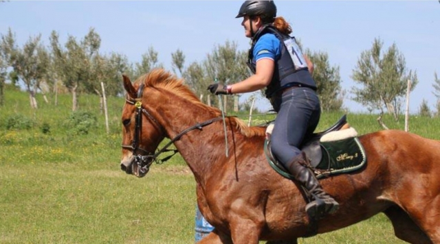  Diversión a caballo