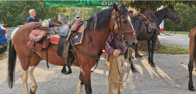  Nuestros caballos 